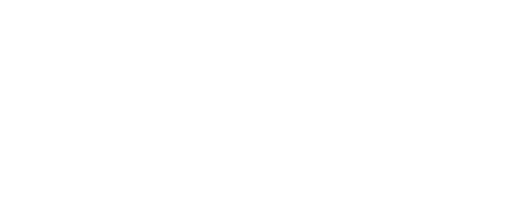 logo lyc blanc