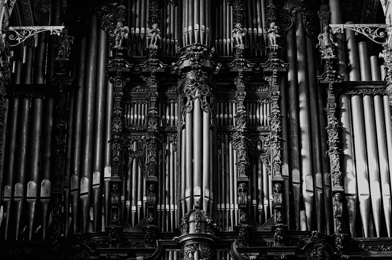 Pexels Photo 763426